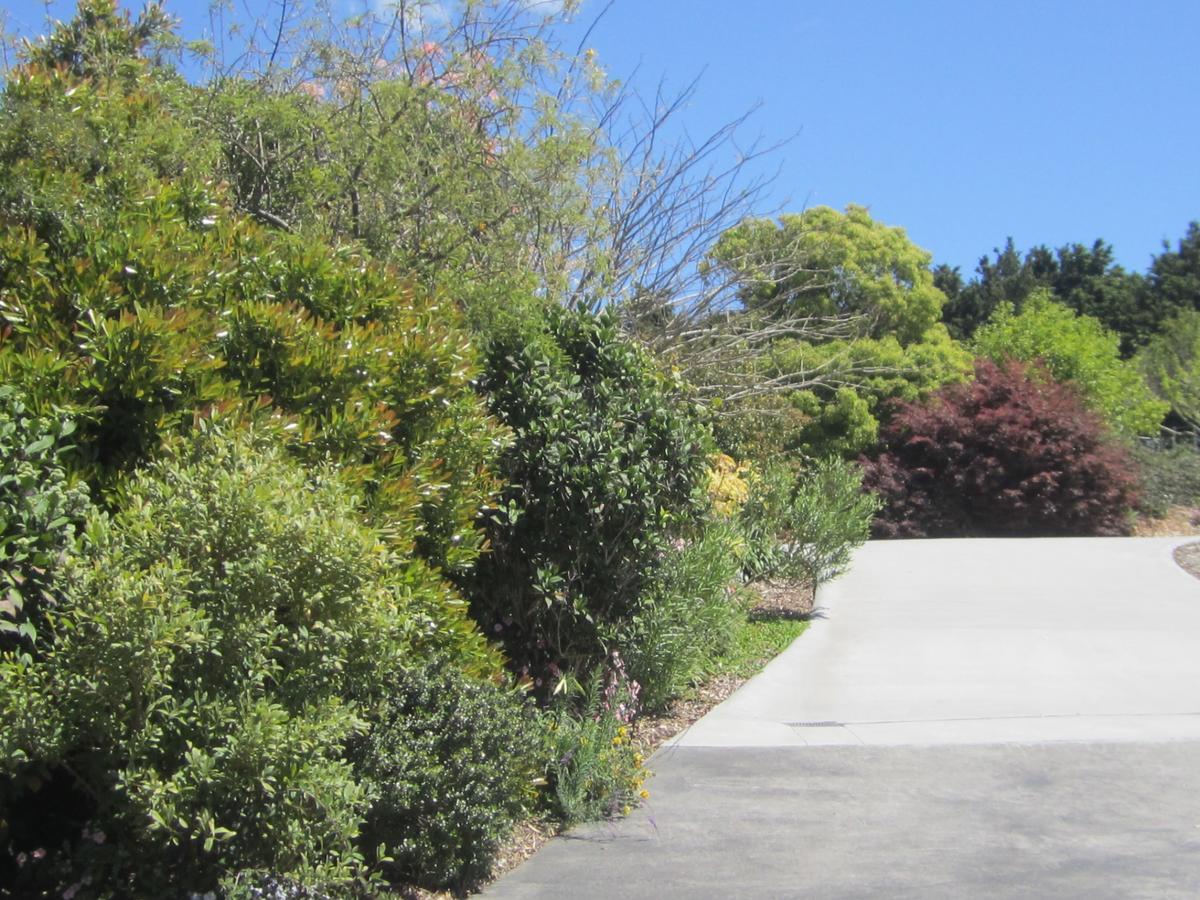 Hyecroft Lodge Whangarei Zewnętrze zdjęcie